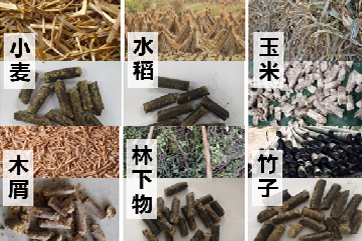 IM体育·(中国)官方网站 - APP下载